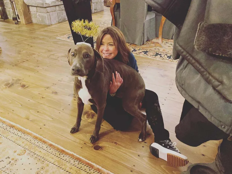 Paws Up A Complete Guide Food Network Stars Pets