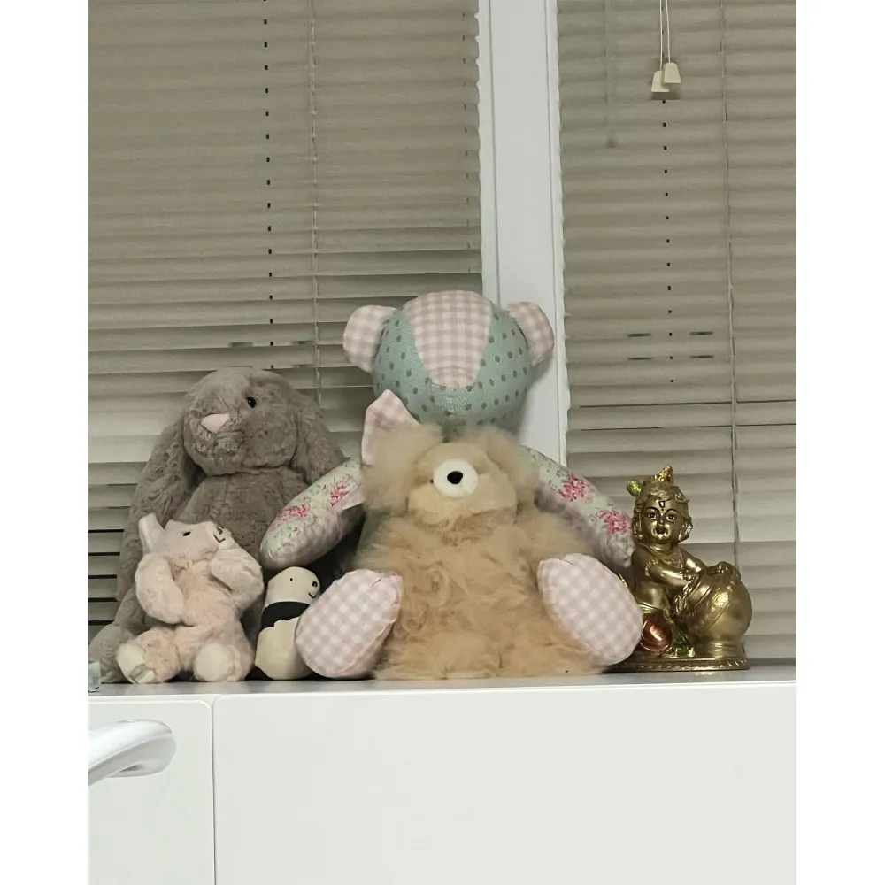 Priyanka Chopra Jonas Seemingly Shows Her and Nick Jonas&rsquo; Baby Girl&rsquo;s Nursery: Photo