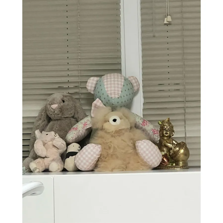 Priyanka Chopra Jonas Seemingly Shows Her and Nick Jonas’ Baby Girl’s Nursery: Photo