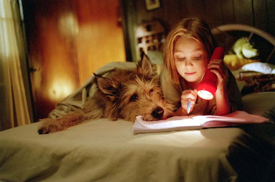 Ruff The Best Pet Themed Movies Of All Time