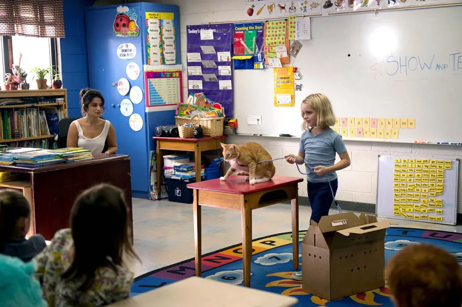 Ruff The Best Pet Themed Movies Of All Time