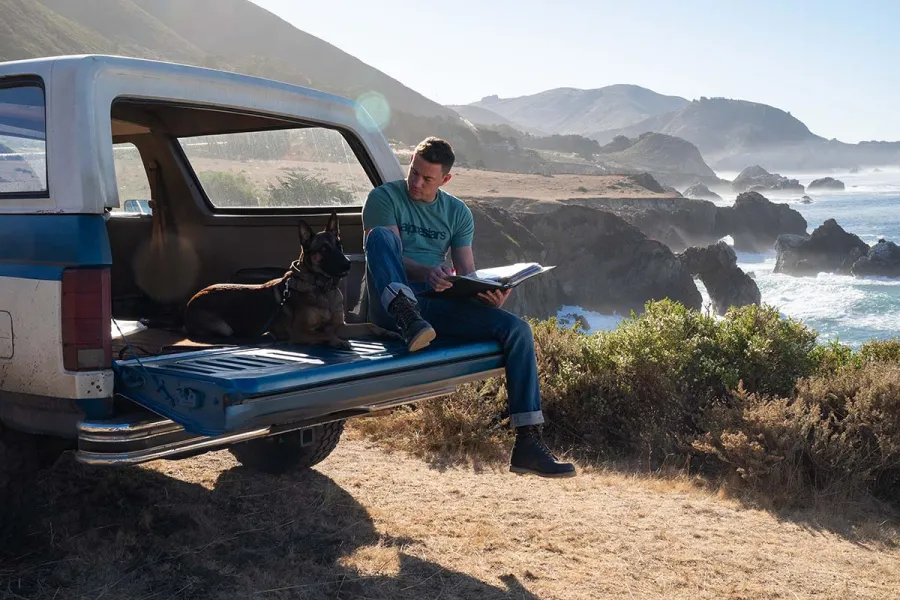 Ruff The Best Pet Themed Movies Of All Time