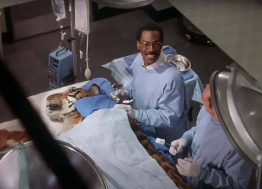 Ruff The Best Pet Themed Movies Of All Time