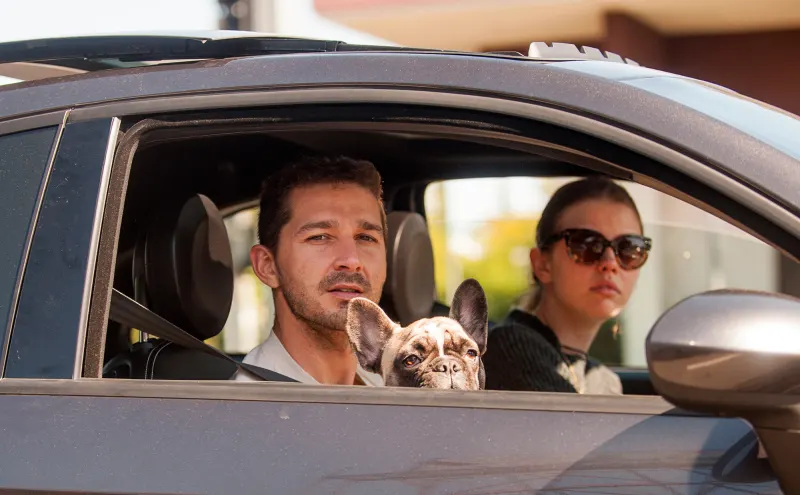 Shia LaBeouf and Mia Goth's Relationship Ups and Downs Through the Years