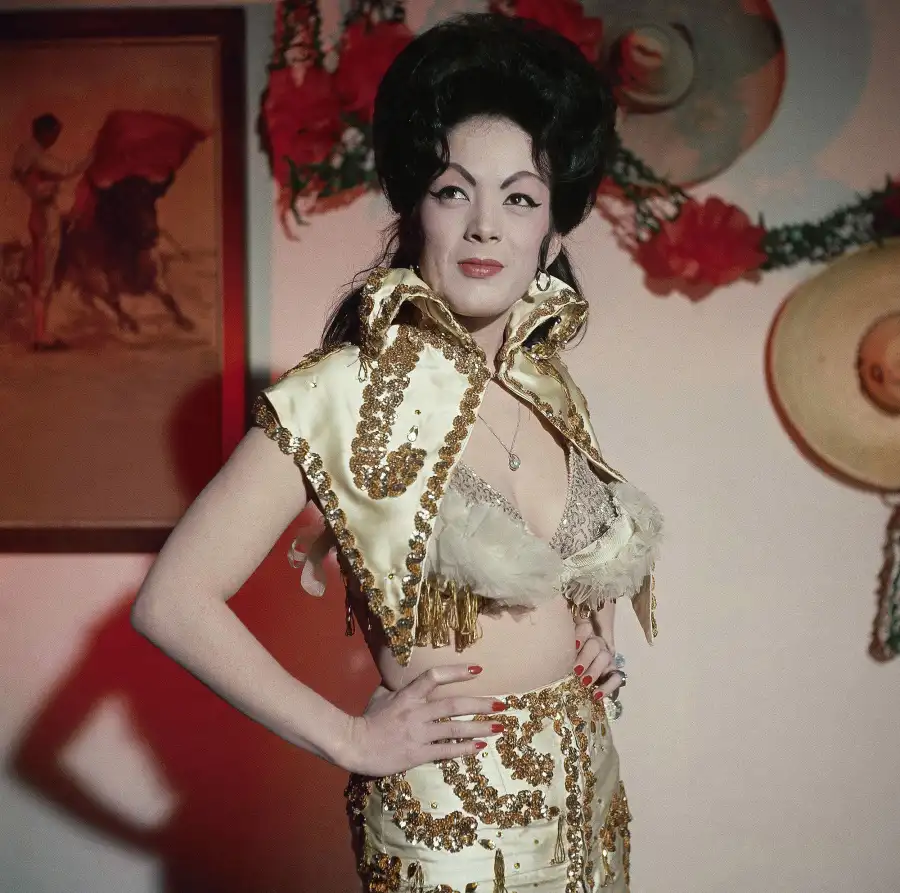 Star We Lost in 2011 Tura Satana