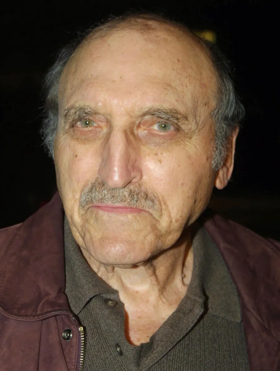 Stars We lost in 2011 Len Lesser