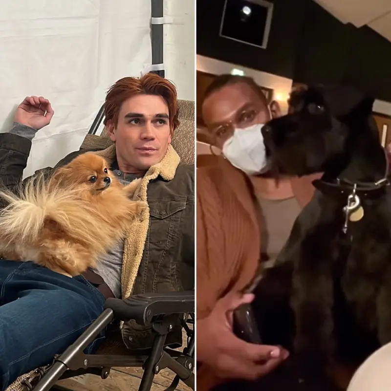 KJ Apa, Zendaya and More Stars Bonding With Their Pets on Set