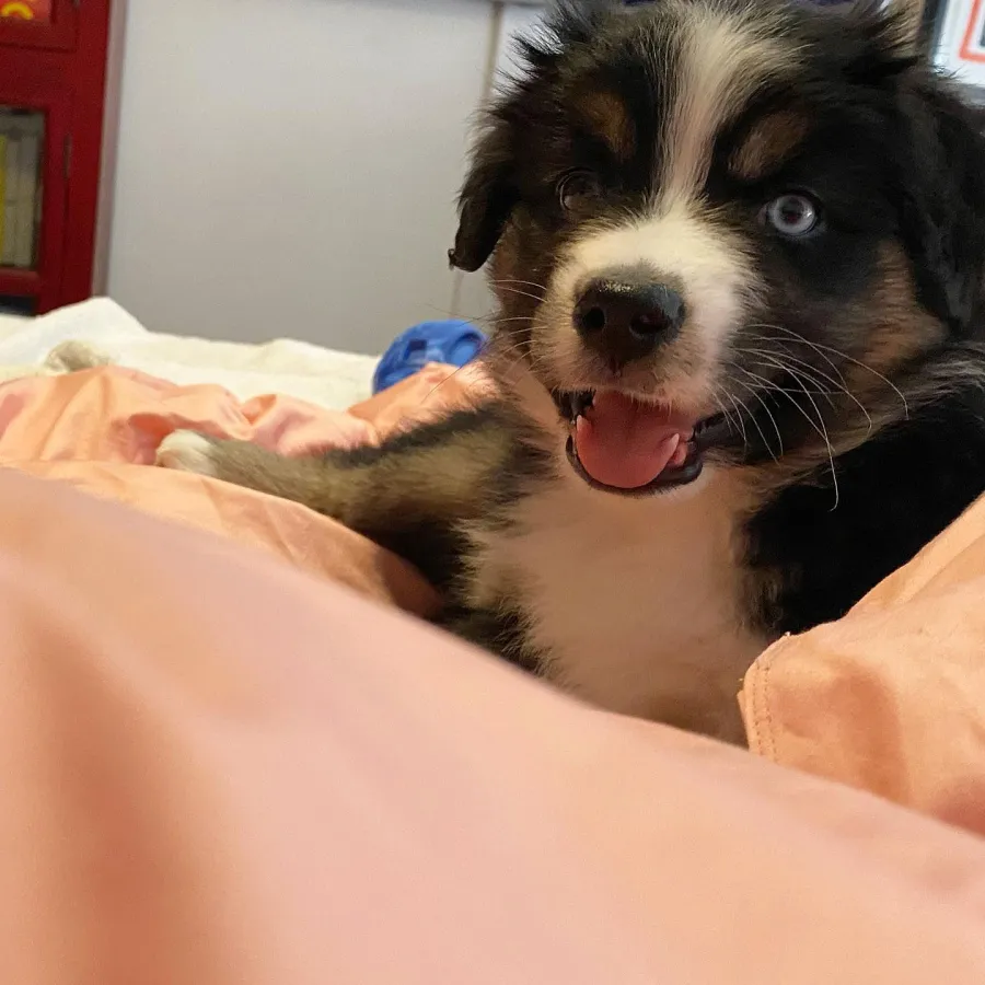 A Complete Guide to Food Network Stars