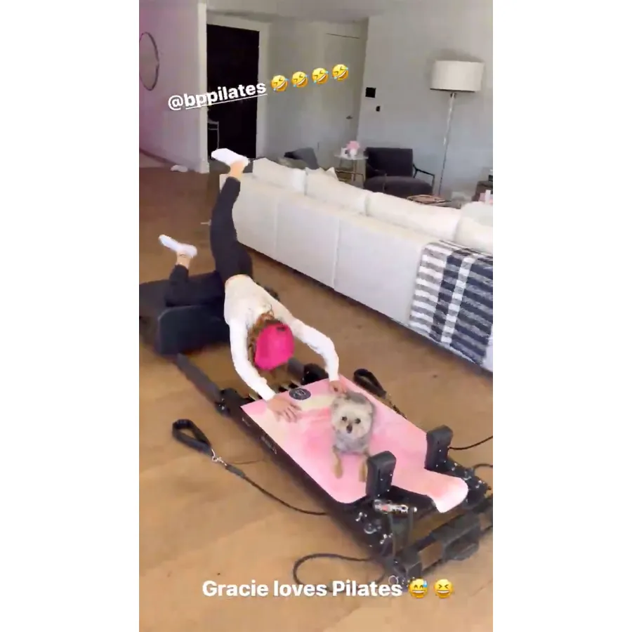 Celeb pet workouts update