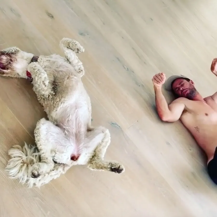 Chris Hemsworth Marvel Stars and Their Beloved Pets