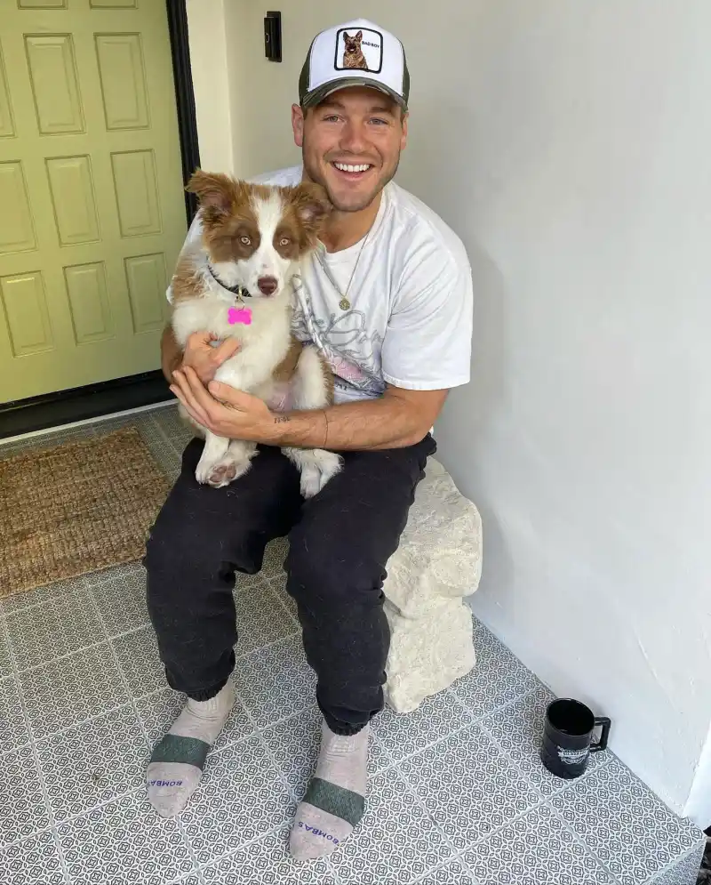 Colton Underwood Celebrities With Their Pets