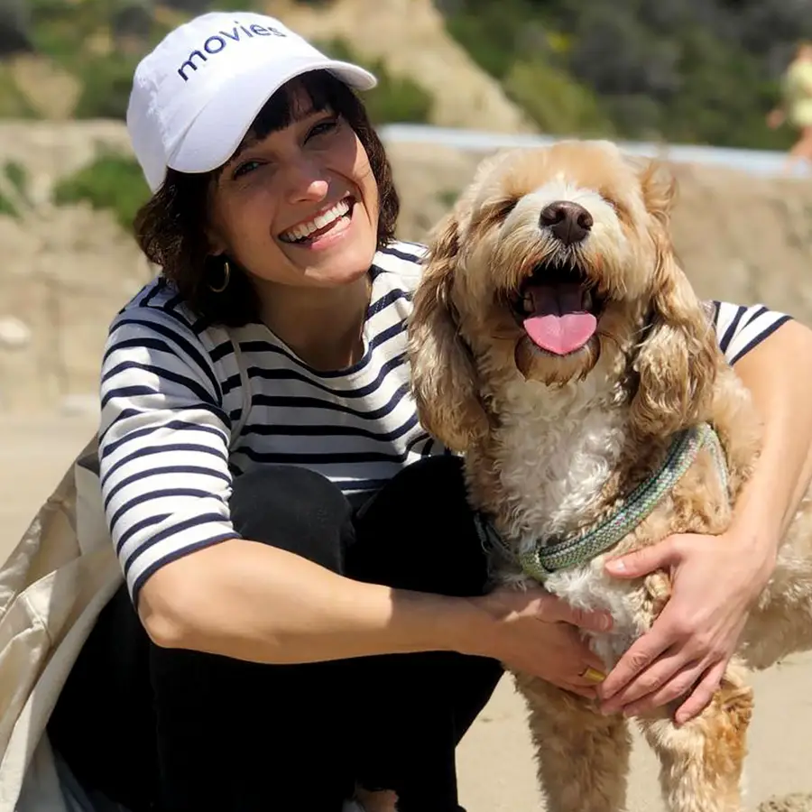 Everything to Know About Sebastian Stan's 'Fresh' Movie on Hulu