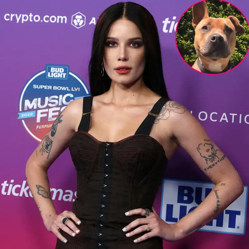Halsey Mourns the Death of Beloved Dog Jagger: ‘This Has Been The Worst Week of My Life’