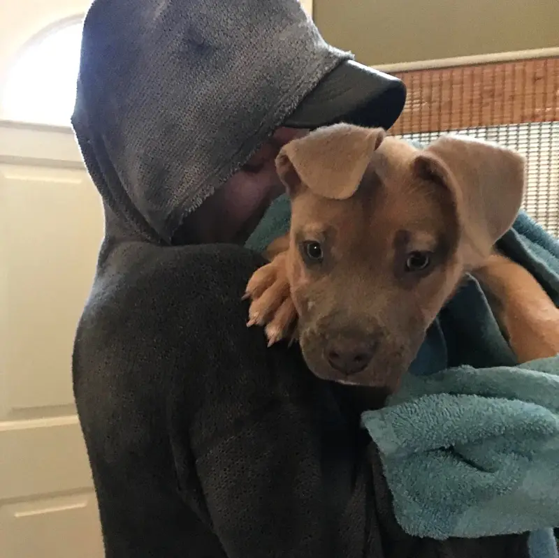 Halsey Mourns the Death of Beloved Dog Jagger: ‘This Has Been The Worst Week of My Life’