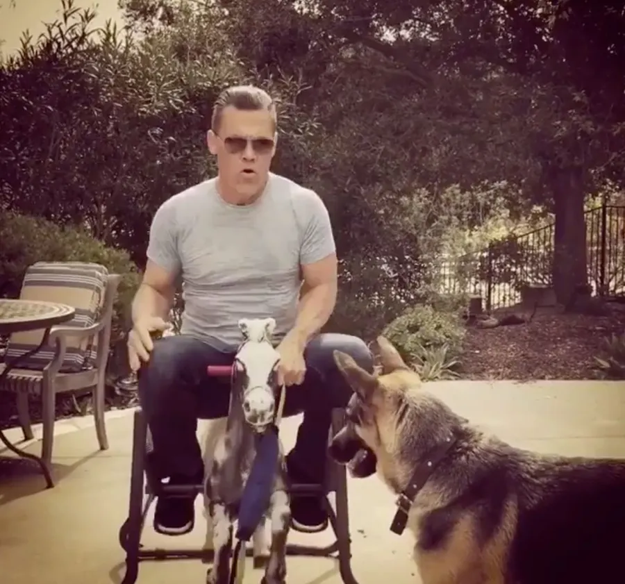 Josh Brolin Marvel Stars and Their Beloved Pets