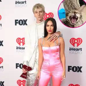 Megan Fox and Machine Gun Kelly Add a Kitten to Their Family 7