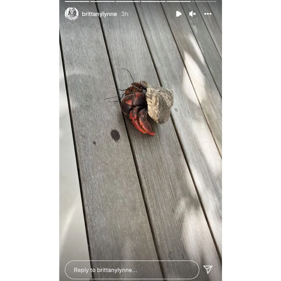 Newlyweds Inside Patrick Mahomes Brittany Matthews Honeymoon