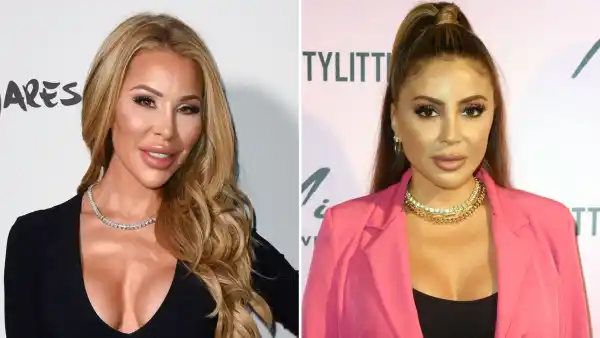 RHOMs Lisa Hochstein Larsa Pippen Doesn't Need to Discuss Plastic Surgery