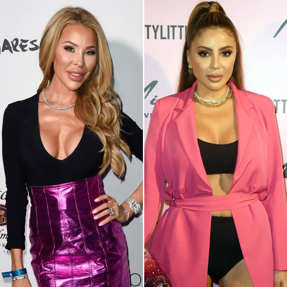 RHOMs Lisa Hochstein Larsa Pippen Doesn't Need to Discuss Plastic Surgery