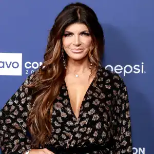 RHONJ's Teresa Giudice Is 'In Recovery' After Emergency Hospitalization