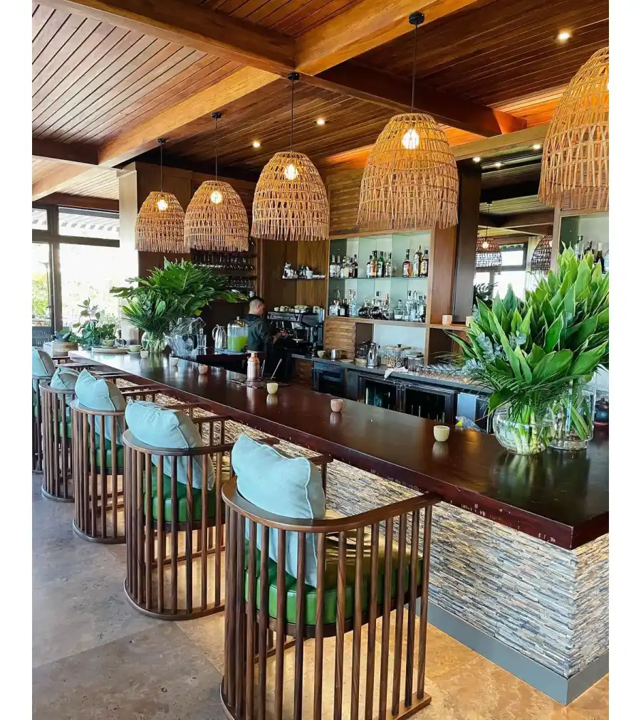 Shaun White and Nina Dobrev Jet Off to Costa Rica After Retirement Party 07