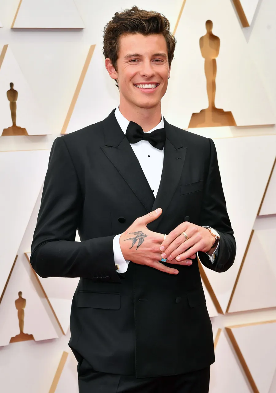 Shawn Mendes and Camila Cabellos Breakup Quotes