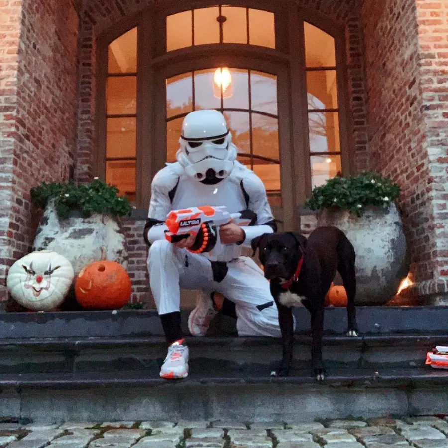 Touchdown A Complete Guide NFL Athletes Dogs