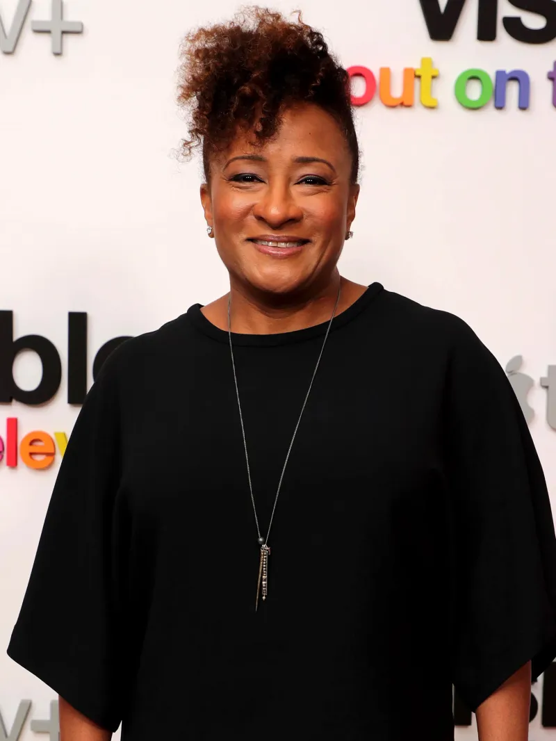 bio pics Wanda Sykes
