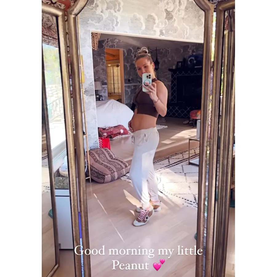 See DWTS' Sharna Burgess' Baby Bump Progress