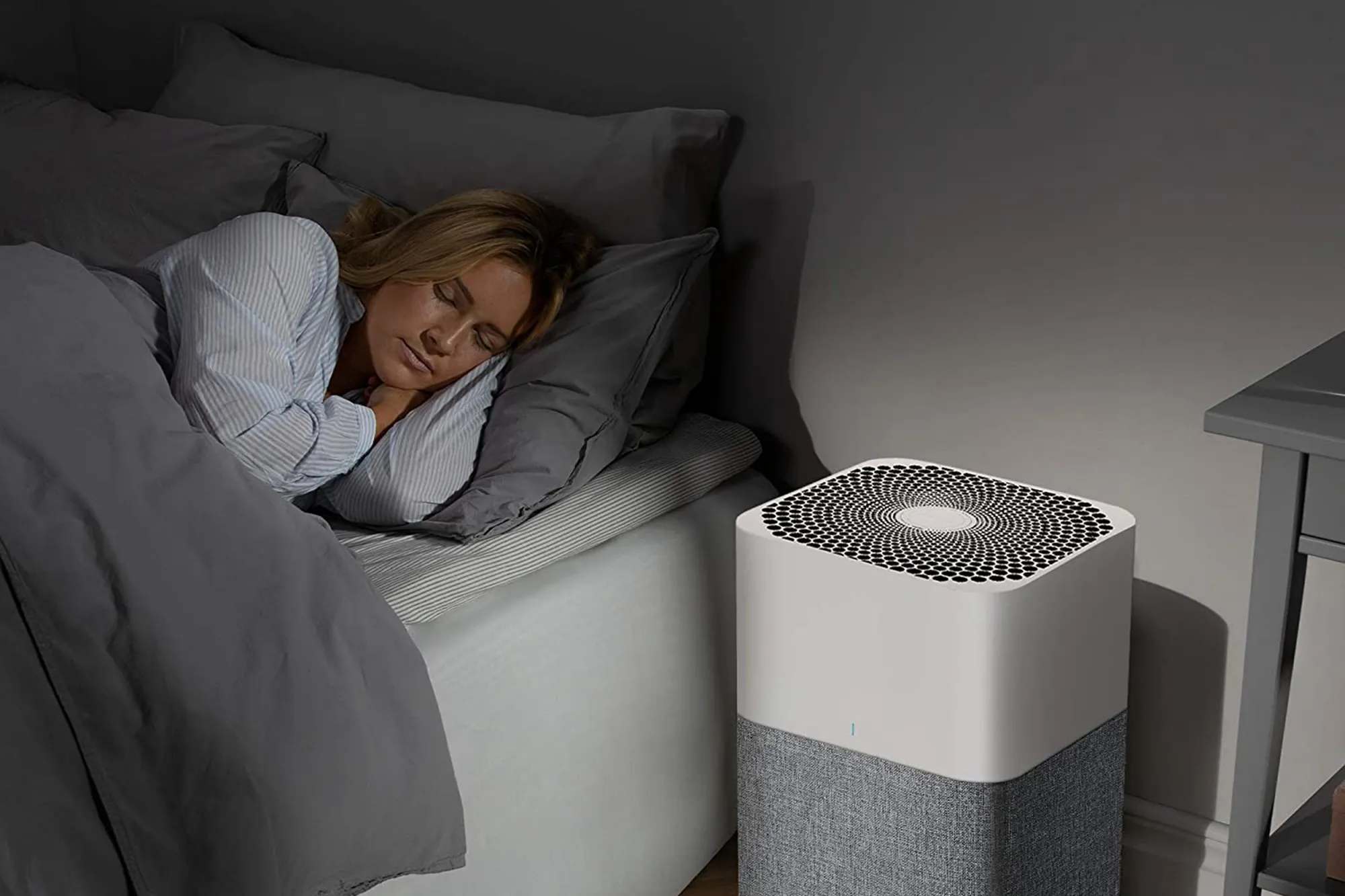 Blueair air purifier