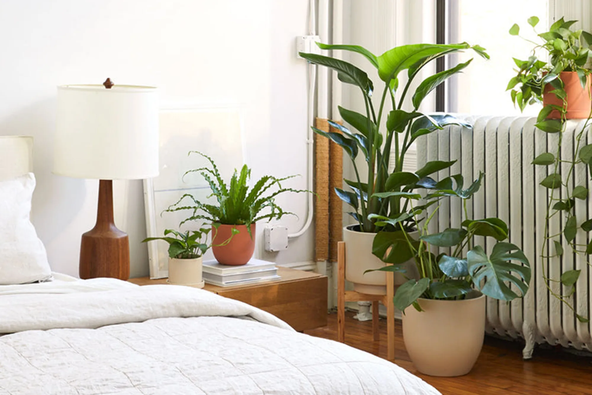 low pentagonal planter