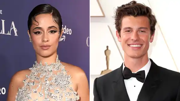 A Complete Breakdown of Camila Cabello's Possible References to Shawn Mendes on 'Familia'