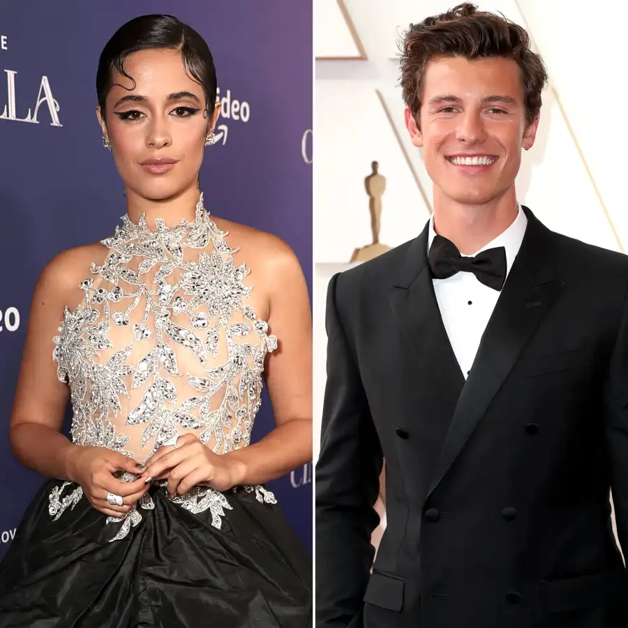 A Complete Breakdown of Camila Cabello's Possible References to Shawn Mendes on 'Familia'