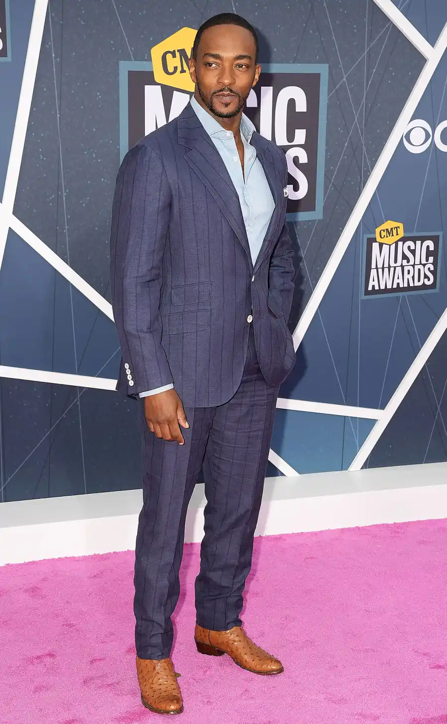 Anthony Mackie CMT Music Awards 2022 Red Carpet Fashion