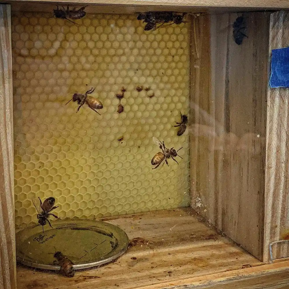 Bachelorette Ryan Sutter Is In a Much Better Place 2 Years Into Health Battle Beehive