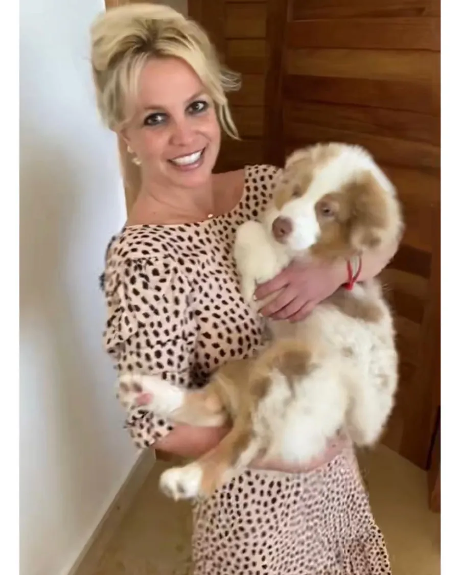 Expectant Celebrity Moms Cuddling Up With Beloved Pets Amid Pregnancy