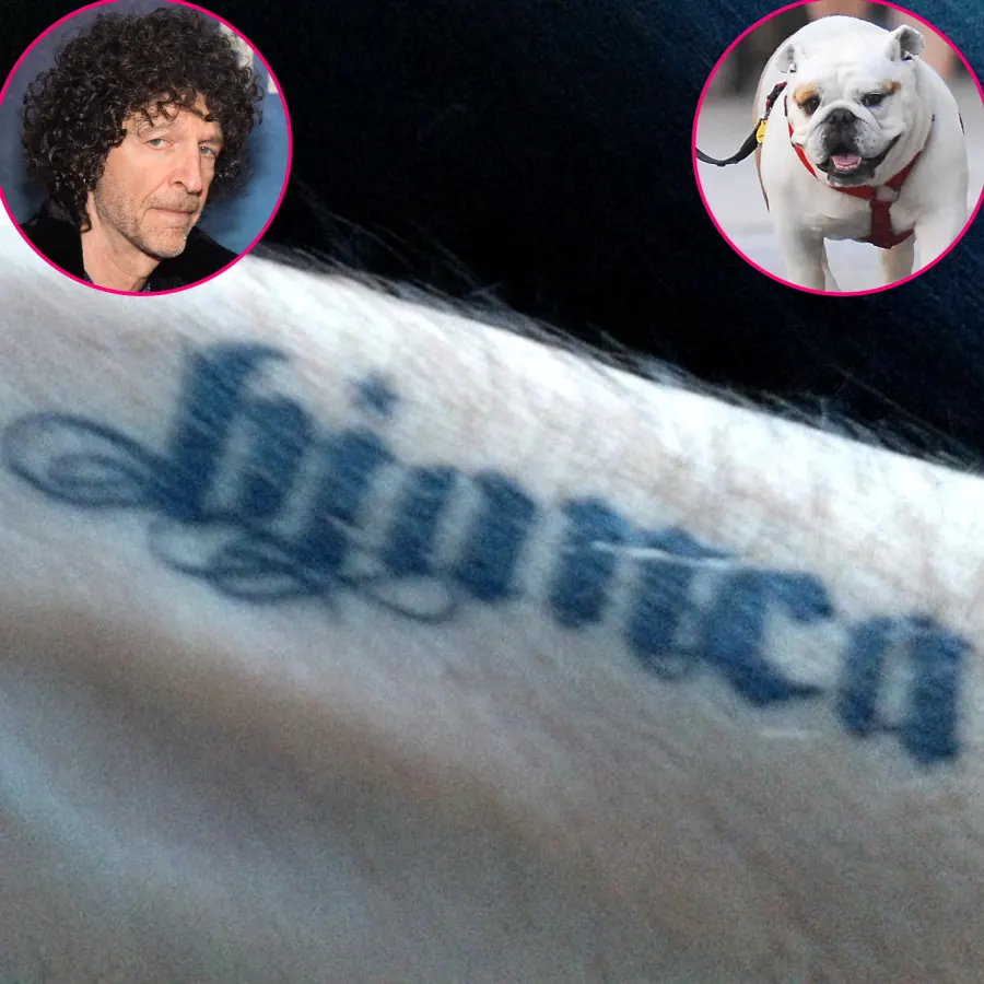 See the Celebs Who Got Tribute Tattoos in Honor of Their Beloved Pets