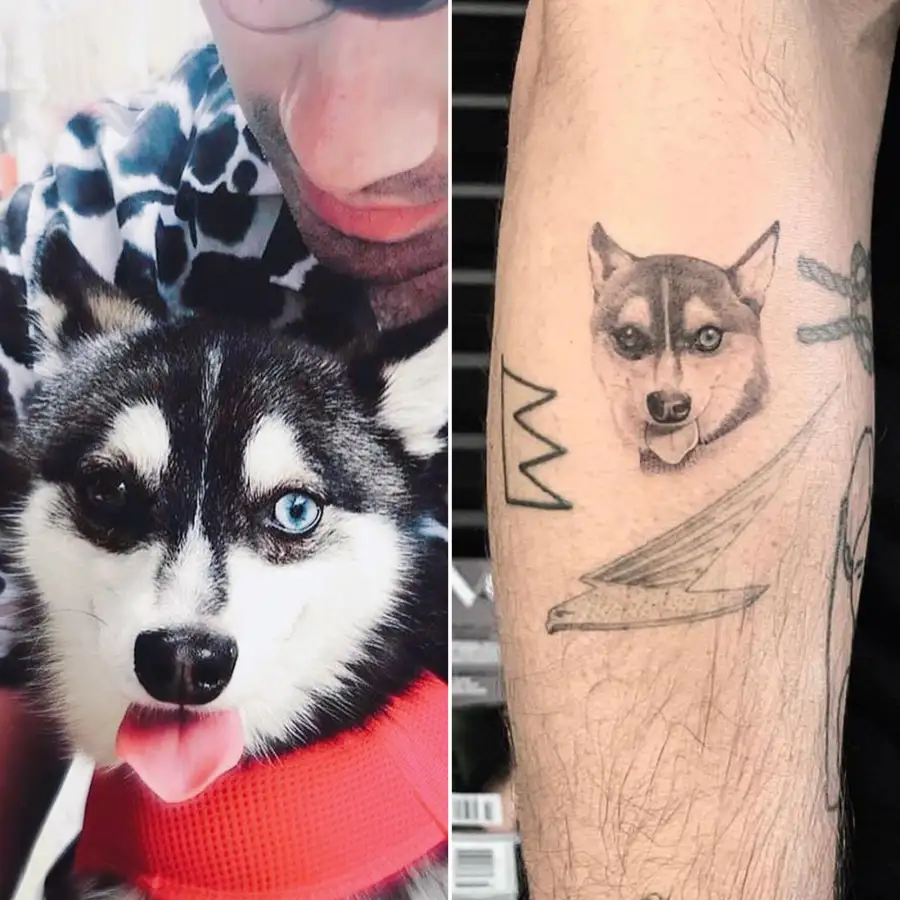 See the Celebs Who Got Tribute Tattoos in Honor of Their Beloved Pets