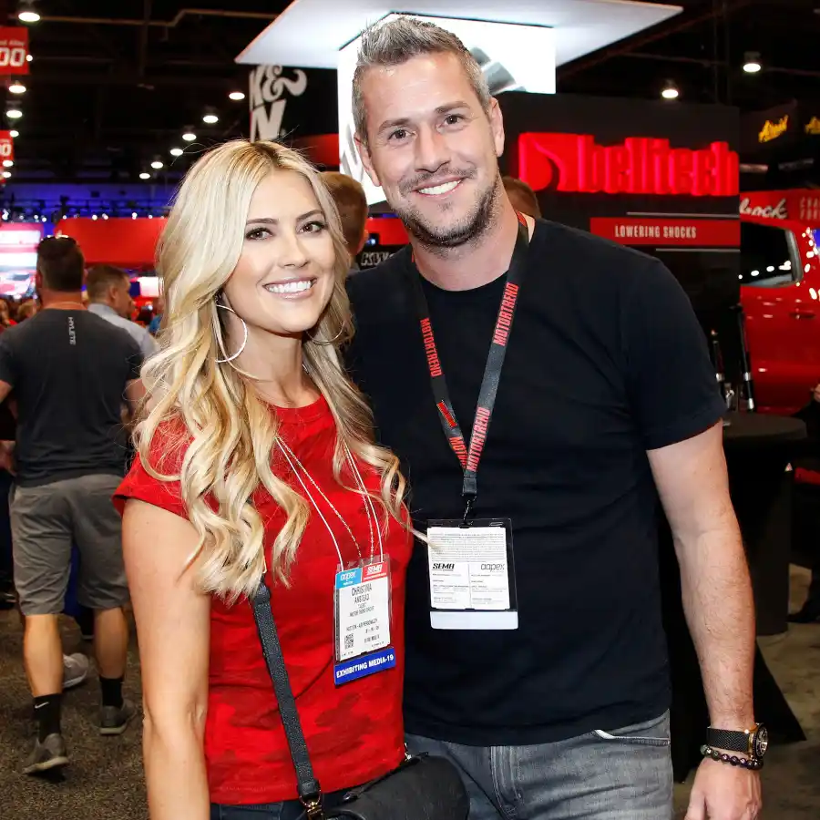 Christina Haack Ant Anstead Custody Battle Everything We Know