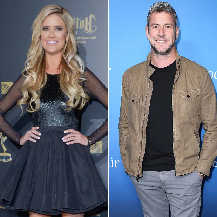 Christina Haack Ant Anstead Custody Battle Everything We Know
