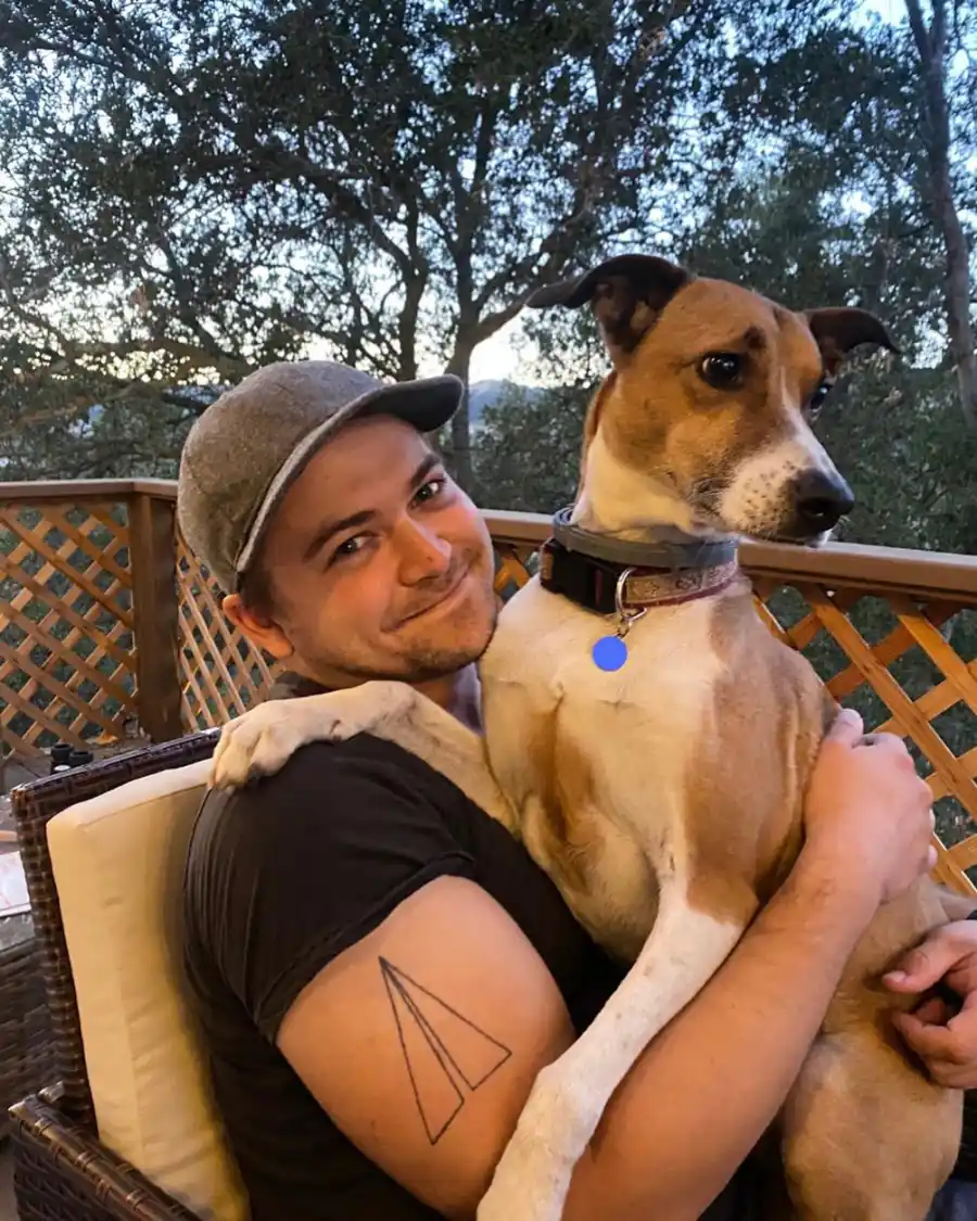 Country Music Pets Guide