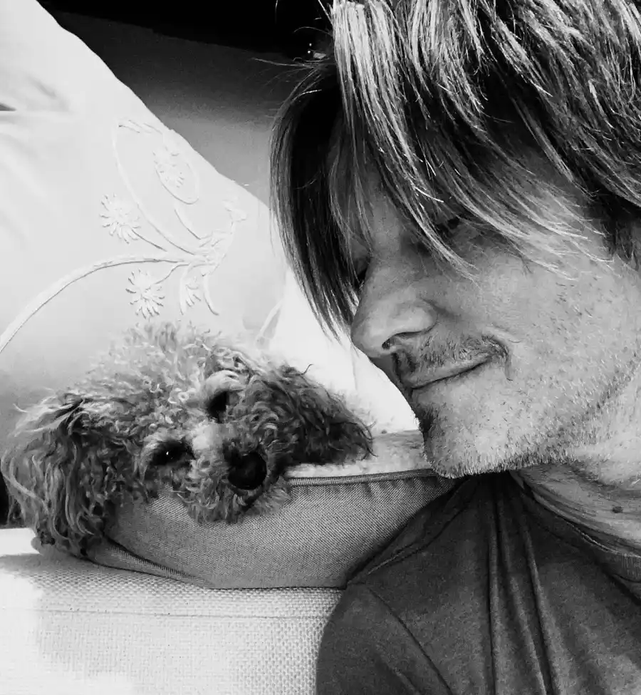 Country Music Pets Guide