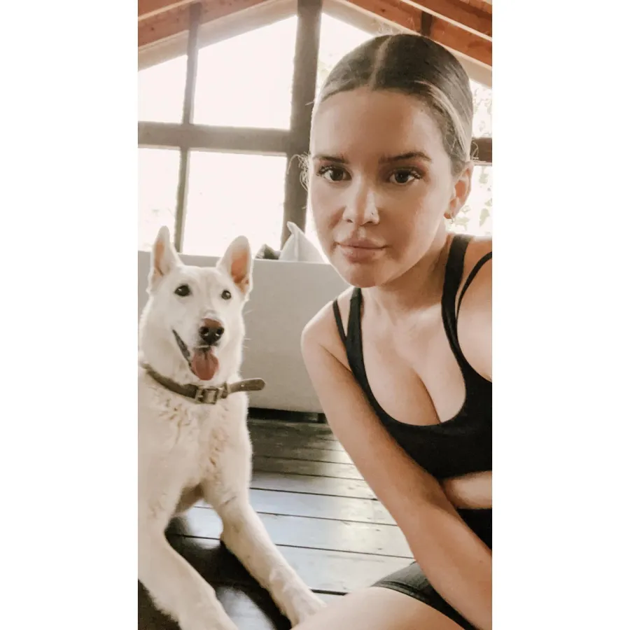 Country Music Pets Guide