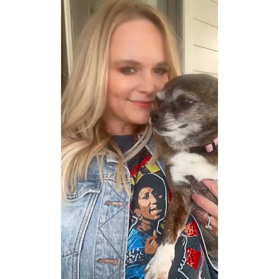 Country Music Pets Guide