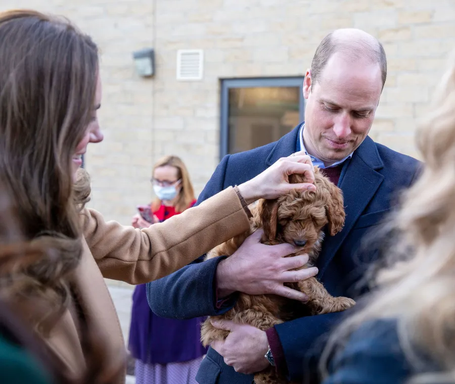 Four Legged Friends Cutest Photos Royals Meeting Animals Through Years Prince William Kate Middleton