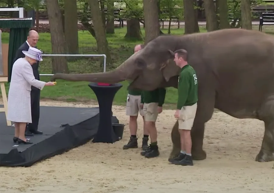 Four Legged Friends Cutest Photos Royals Meeting Animals Through Years Queen Elizabeth II Prince Philip