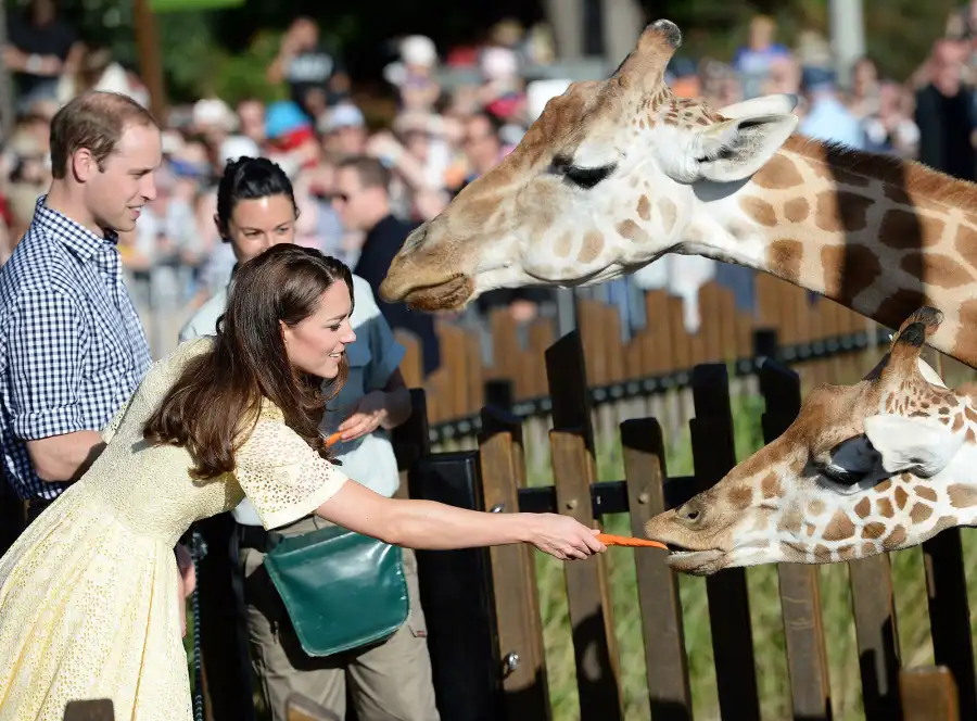 Four Legged Friends Cutest Photos Royals Meeting Animals Through Years Prince William Kate Middleton