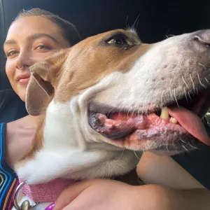 Hawkeye’s Florence Pugh and More Stars Gush Over Their Beloved Pets