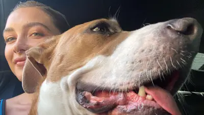 Hawkeye’s Florence Pugh and More Stars Gush Over Their Beloved Pets