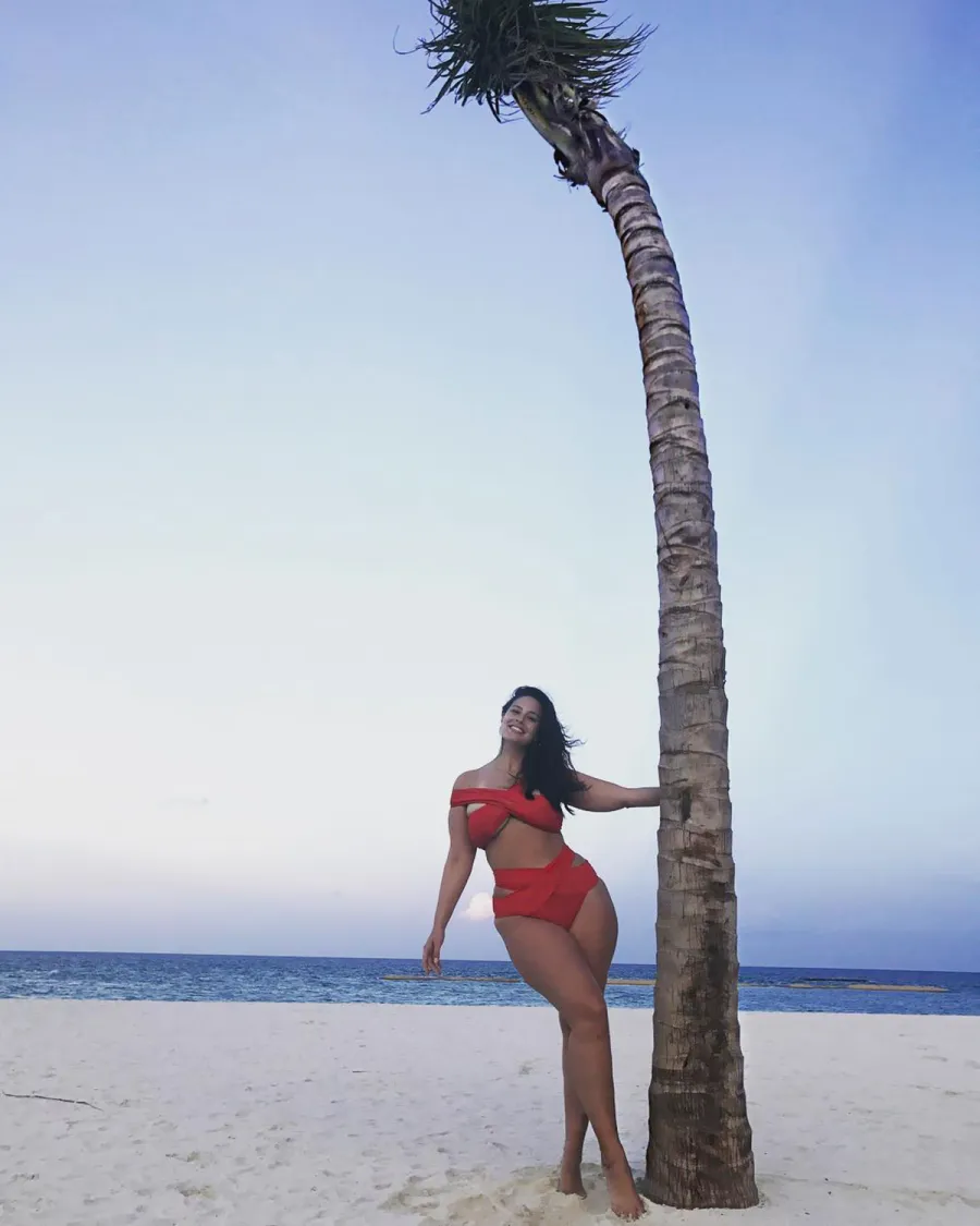 Hottest Bikini Bodies of 2017 Ashley Graham